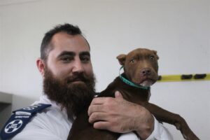 SPCA sting operation saves Princess