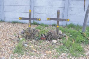Crosses to honour memory of two women removed from Plattekloof Road intersection without a trace