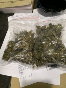 Metro Police arrest two alleged drug dealers