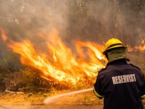 Fire brigade applauded for quick reaction to flare ups in area