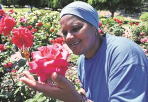 Westridge Rose Garden has first show
