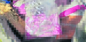 ‘Do not give to homeless’: Ongoing influx of vagrants challenges the Edgemead community