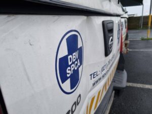 SPCA court victory for chained dogs