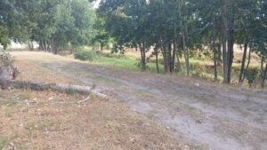 Man’s body found near Drostdy Park canal: Police seek community assistance