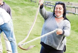 Stay safe during snake season: Tips from a local expert