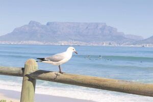 Popular beach front in Cape Town a hot spot for criminal activity over festive period