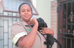 Egpaar stig ambulans vir diere in minderbevoorregte dele van Kaapstad