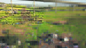 Neighbourhood watch, residents visit squatters in Stellenberg, Bellville