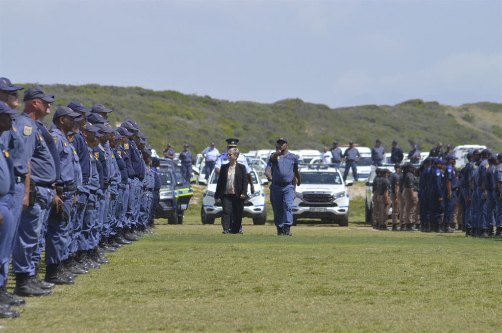 Festive season launch