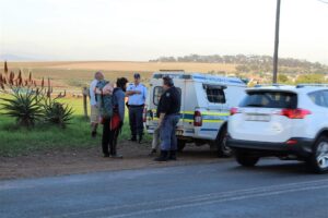 Plant thieves nabbed in Durbanville