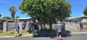 KYK | Vrou van Goodwood skree laat bure haar hoor ná sy giftige boomslang sien