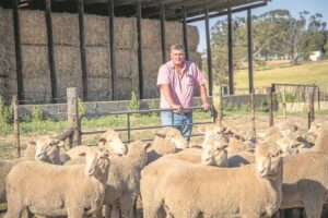 Brink nou ook SA Boer van die Jaar