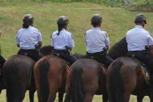 Police ready for the festive season