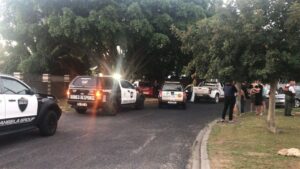 Durbanville dog shot to death by neighbour