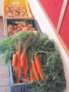 Community garden feeds more than 500 people