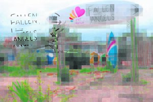 Fallen Angels Pet Rescue in Melkbosstrand is fighting for a ‘fur’-ever home