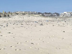 Milnerton Lagoon’s battle against pollution: A call to action for cleaner beaches