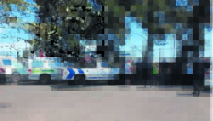 Cable thieves busted