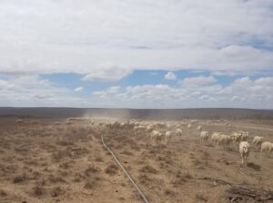 SA Water Warriors need R200 000 to make Christmas outreach a reality