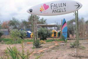 Fallen Angels Pet Rescue in Melkbosstrand forced to vacate site