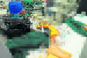 Polisie lê beslag op vervalste Boktruie in Brackenfell