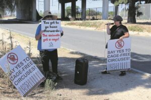 BWC ‘ignorant of human rights’ – circus