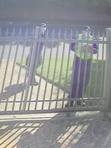 Pensioenarisse geteiken