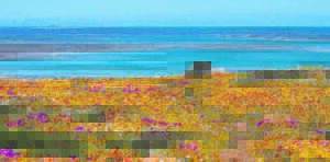 Millions for upgrade in the West Coast National Park