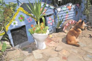 Kraaifontein vrou laat ou toiletbak ‘blom’