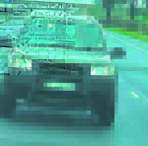 SPCA investigates case of animal abandonment on R300