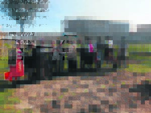 Bejaardes maak tuin in Delft