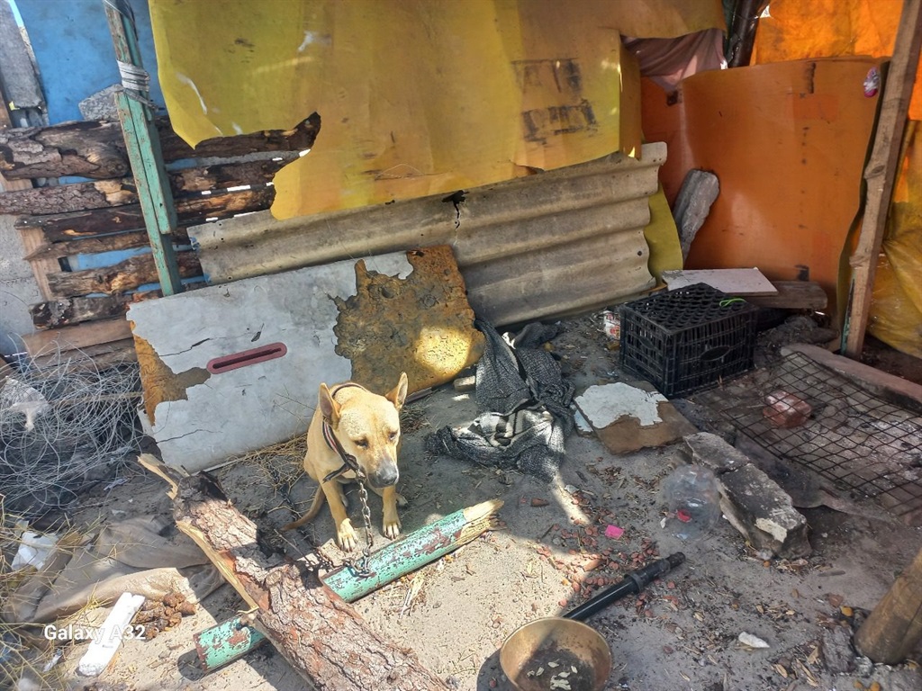 SPCA inspectors attacked during animal cruelty int