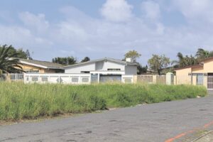 Gras gaan waai maar blomme bly