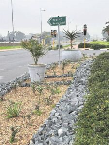 New Ward 113 councillor tackles vagrancy and beautification projects
