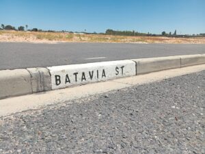 Endangered plants to be protected at the Batavia Street Conservancy in Bothasig