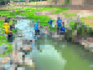 Residents, dog lovers clean Elizabeth Park in Bellville