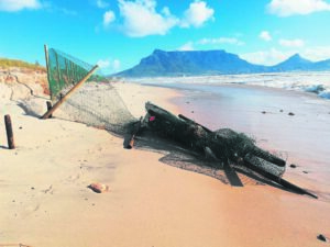 Safety concerns at beach