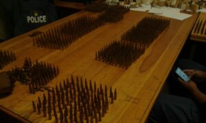 Workman finds live ammo at D’ville home