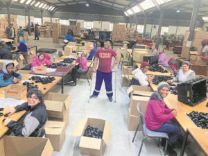 ‘Gee hulle ’n kans’, sê Bellville-organisasie oor gestremdes