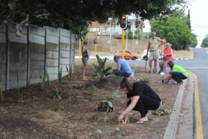 Sypaadjie met vetplante verfraai