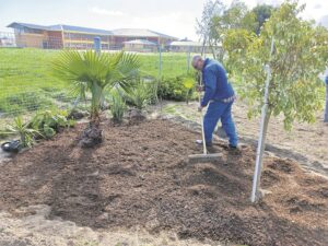 Man on a mission to transform a sand patch in Kuils River to a lush green oasis