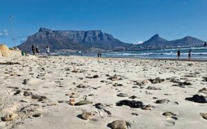 Save a Fishie launches second Coast-to-Coast Beach Clean-Up campaign to combat plastic pollution