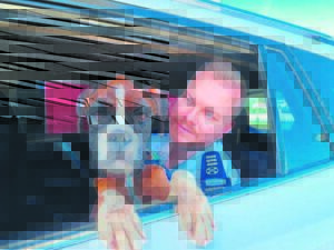 Dog finds ‘fur’ever home before passing