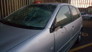 Driver who killed Swedish teen given bail