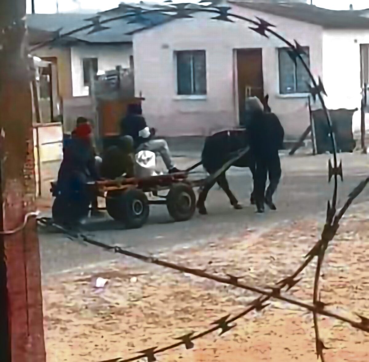 A screenshot from the video shows how the cart horse is being beaten.