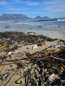 Coast to Coast campaign kicks off