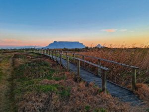 Rietvlei waterbody reopens after improved E.coli levels