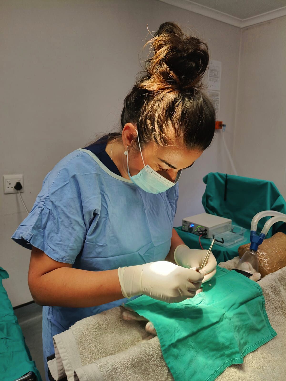 This initiative will benefit an additional 200 pets.