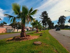 Edgemead residents question need for City Improvement District