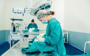 Mass sterilisation campaign under way